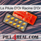 The Golden Root Gold Pill new01